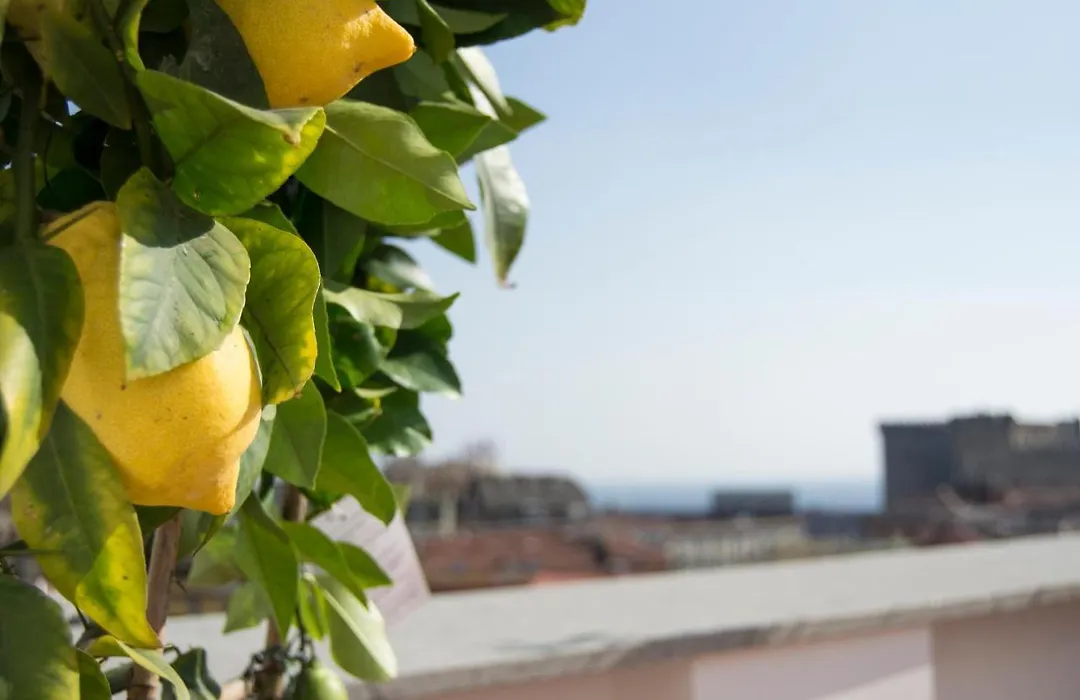 Panoramic Terrazza - Napoli-1